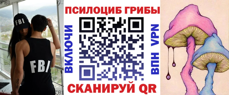 хочу   Киров  Галлюциногенные грибы Psilocybe 